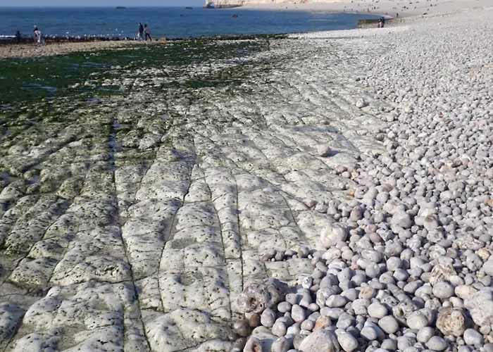 Rm- En Famille Ou Entre Amis-ies En Toute Convivialite Avec A 3min *